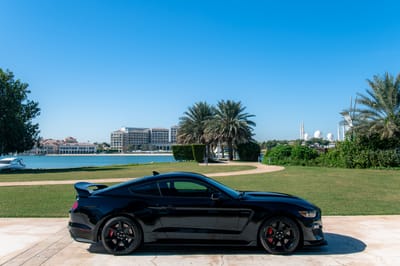 2020 Ford Shelby GT350R Shadow Black Exterior