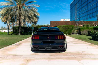 2020 Ford Shelby GT350R Shadow Black Exterior