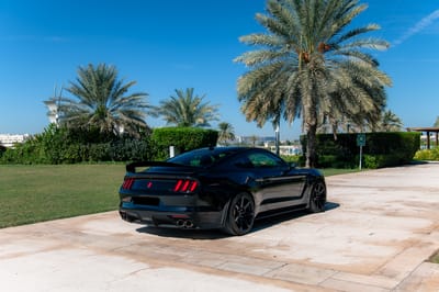 2020 Ford Shelby GT350R Shadow Black Exterior