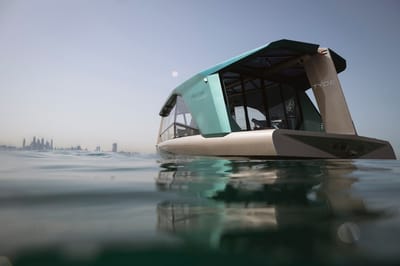 2023 TYDE ICON Turquoise/Gold Exterior