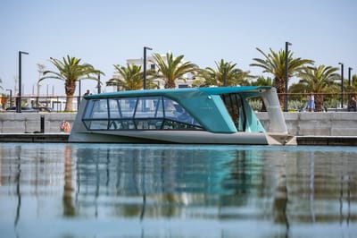 2023 TYDE ICON Turquoise/Gold Exterior